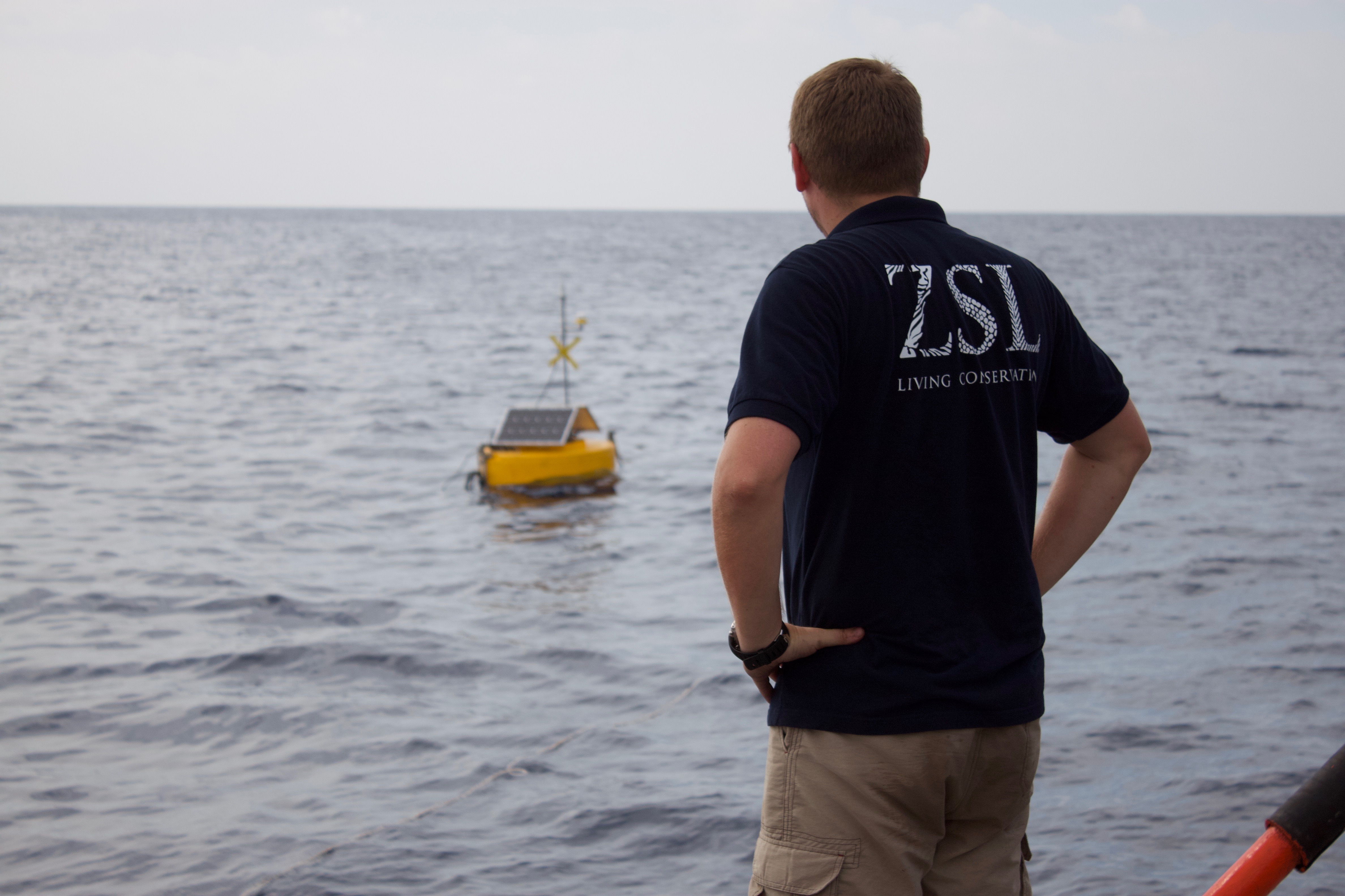Field testing marine conservation technology with ZSL